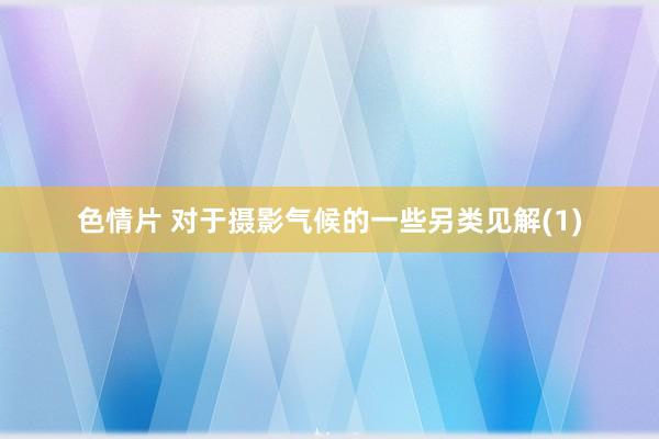 色情片 对于摄影气候的一些另类见解(1)