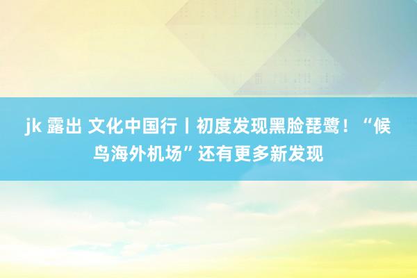 jk 露出 文化中国行丨初度发现黑脸琵鹭！“候鸟海外机场”还有更多新发现