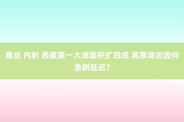 黑丝 内射 西藏第一大湖面积扩四成 高原湖泊因何急剧延迟？