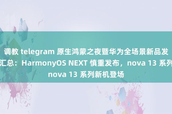 调教 telegram 原生鸿蒙之夜暨华为全场景新品发布会一文汇总：HarmonyOS NEXT 慎重发布，nova 13 系列新机登场