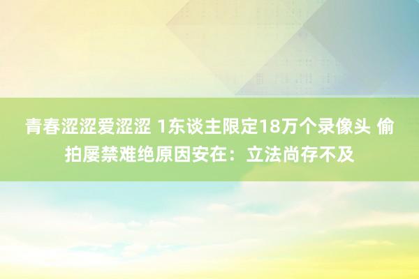 青春涩涩爱涩涩 1东谈主限定18万个录像头 偷拍屡禁难绝原因安在：立法尚存不及