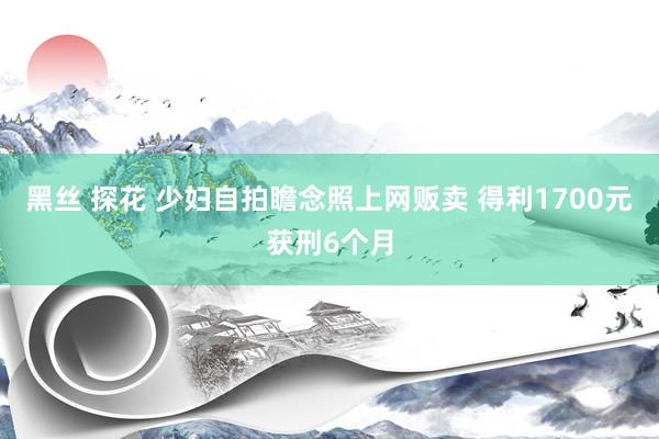 黑丝 探花 少妇自拍瞻念照上网贩卖 得利1700元获刑6个月