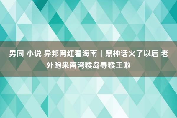 男同 小说 异邦网红看海南｜黑神话火了以后 老外跑来南湾猴岛寻猴王啦