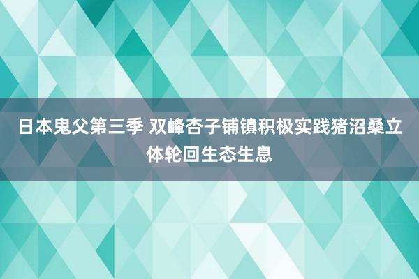 日本鬼父第三季 双峰杏子铺镇积极实践猪沼桑立体轮回生态生息