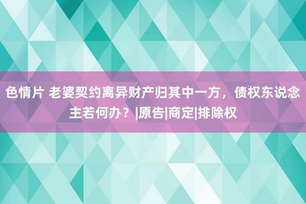 色情片 老婆契约离异财产归其中一方，债权东说念主若何办？|原