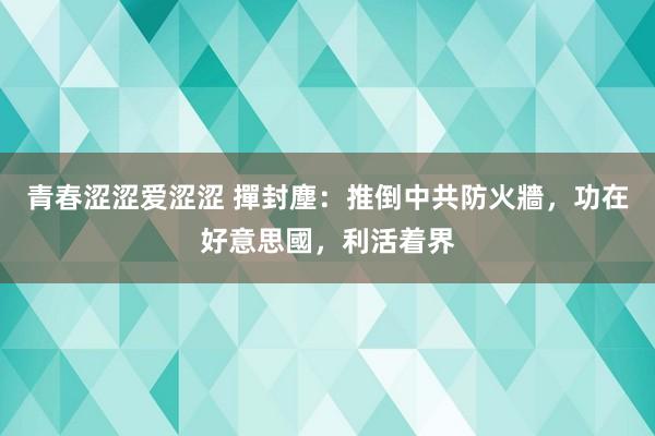 青春涩涩爱涩涩 撣封塵：推倒中共防火牆，功在好意思國，利活着